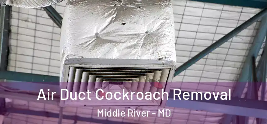  Air Duct Cockroach Removal Middle River - MD