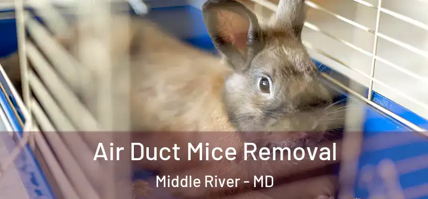  Air Duct Mice Removal Middle River - MD
