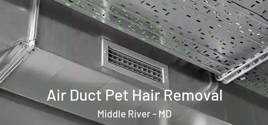  Air Duct Pet Hair Removal Middle River - MD