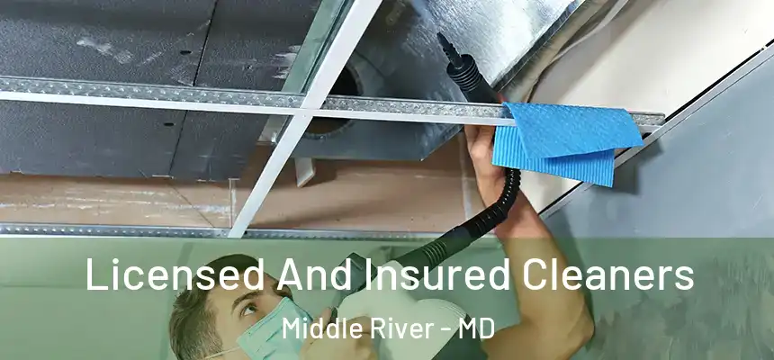  Licensed And Insured Cleaners Middle River - MD