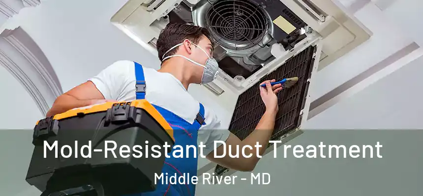  Mold-Resistant Duct Treatment Middle River - MD