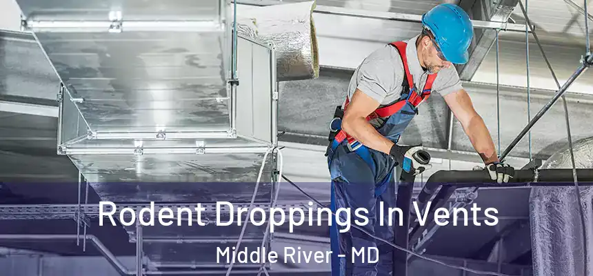  Rodent Droppings In Vents Middle River - MD