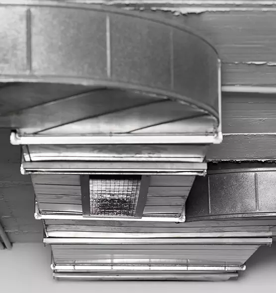 Professional Air Duct Pest Removal in Middle River, MD