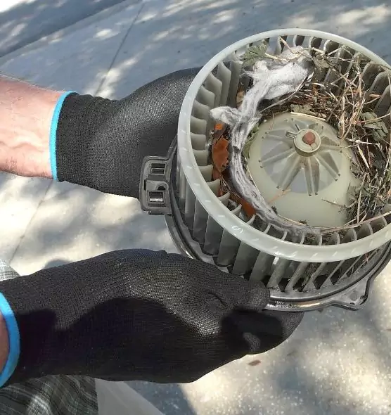 About Air Duct Rat Removal in Middle River, MD