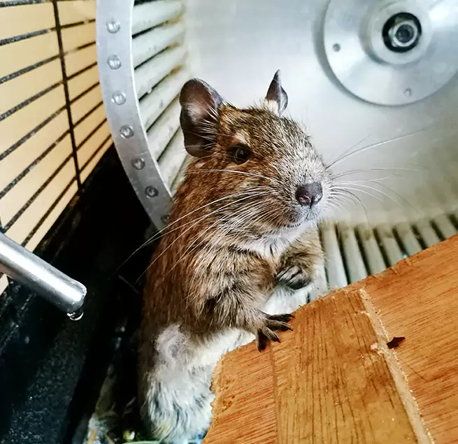 Why Homeowners & Businesses Trust Us Middle River, MD