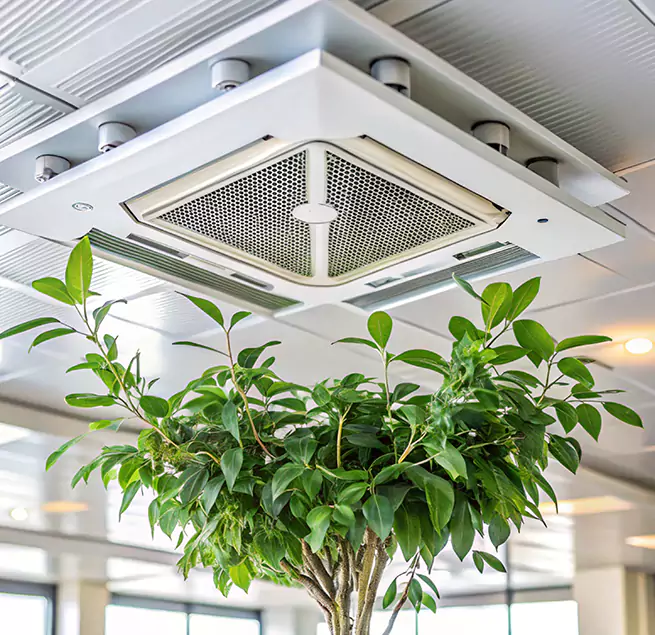 Why Homeowners & Businesses Trust Us in Middle River, MD?